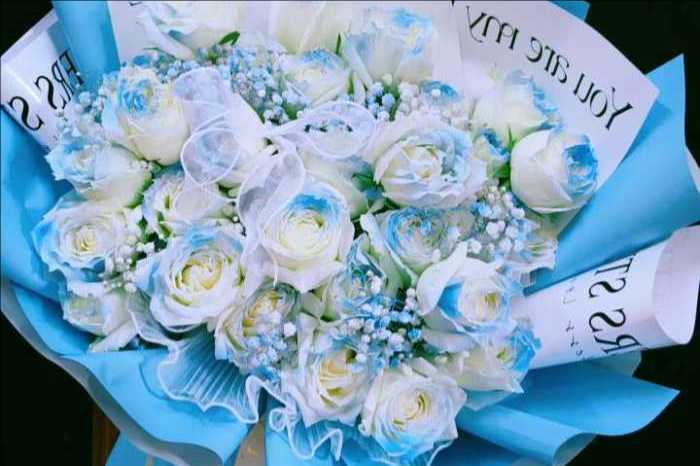 ĳǻ