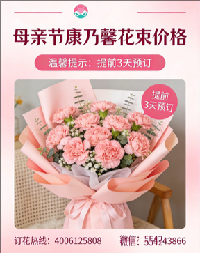 聊城花店母亲节康乃馨花束