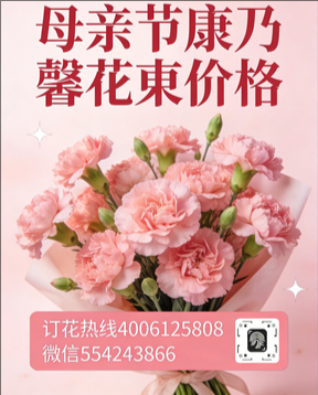 聊城花店母亲节康乃馨花束